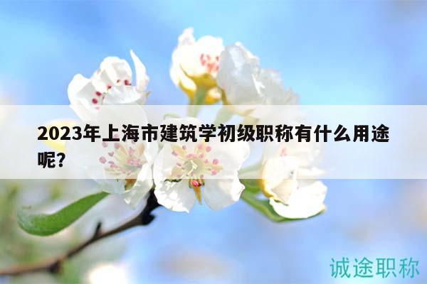 2023年上海市建筑學(xué)初級(jí)職稱有什么用途呢？