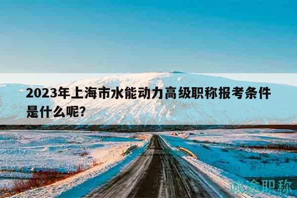 2023年上海市水能動(dòng)力高級(jí)職稱報(bào)考條件是什么呢？