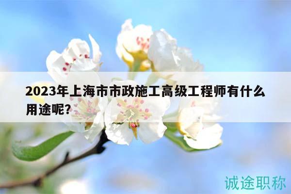 2023年上海市市政施工高級(jí)工程師有什么用途呢？