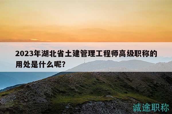 2023年湖北省土建管理工程師高級職稱的用處是什么呢？