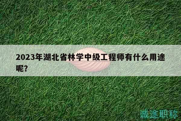2023年湖北省林學(xué)中級(jí)工程師有什么用途呢？