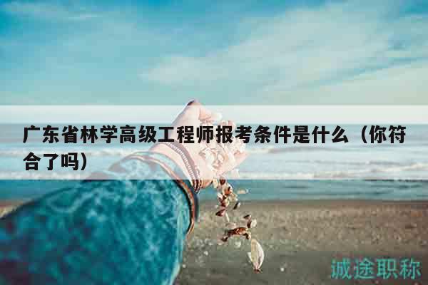 廣東省林學高級工程師報考條件是什么（你符合了嗎）