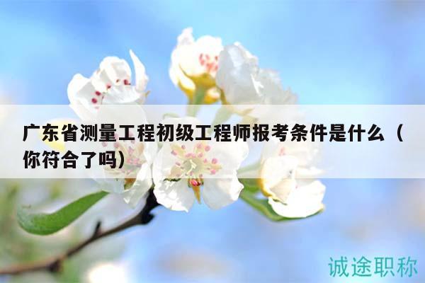 廣東省測量工程初級工程師報考條件是什么（你符合了嗎）