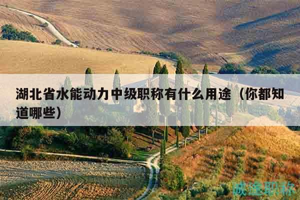 湖北省水能動(dòng)力中級(jí)職稱(chēng)有什么用途（你都知道哪些）