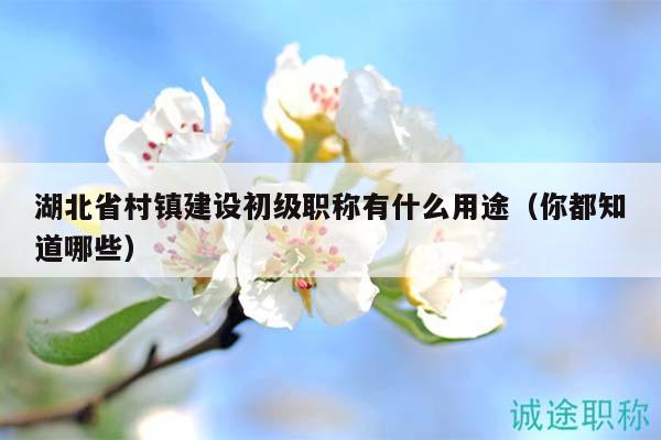 湖北省村鎮(zhèn)建設初級職稱有什么用途（你都知道哪些）