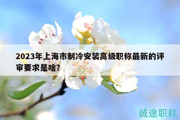 2023年上海市制冷安裝高級(jí)職稱最新的評(píng)審要求是啥？