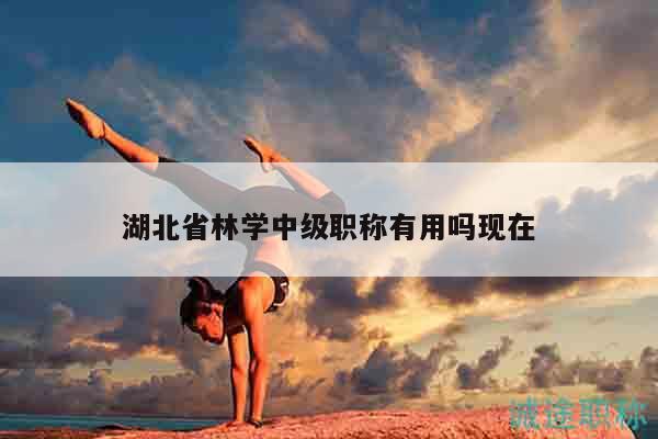 湖北省林學中級職稱有用嗎現(xiàn)在
