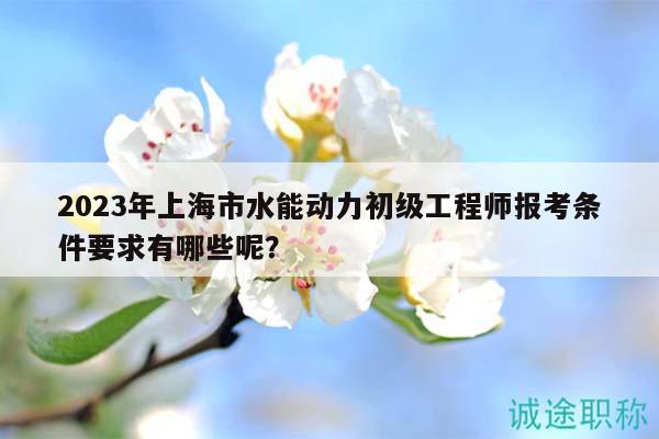 2023年上海市水能動力初級工程師報考條件要求有哪些呢？