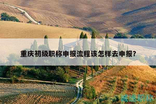 重慶初級(jí)職稱申報(bào)流程該怎樣去申報(bào)？
