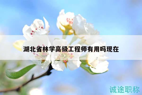 湖北省林學(xué)高級工程師有用嗎現(xiàn)在