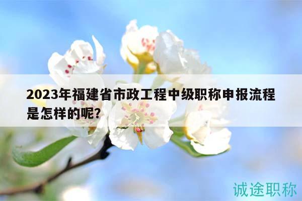 2023年福建省市政工程中級職稱申報流程是怎樣的呢？