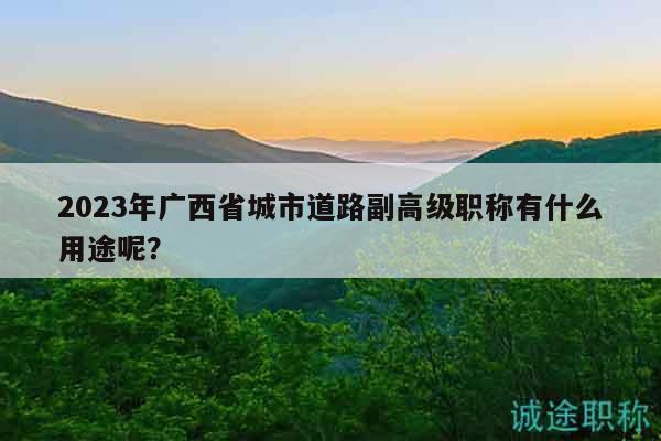 2023年廣西省城市道路副高級(jí)職稱有什么用途呢？