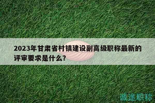 2023年甘肅省村鎮(zhèn)建設(shè)副高級(jí)職稱(chēng)最新的評(píng)審要求是什么？