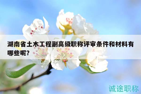 湖南省土木工程副高級職稱評審條件和材料有哪些呢？