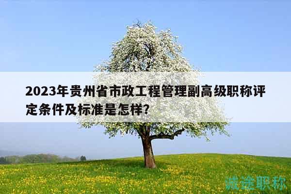 2023年貴州省市政工程管理副高級(jí)職稱評(píng)定條件及標(biāo)準(zhǔn)是怎樣？