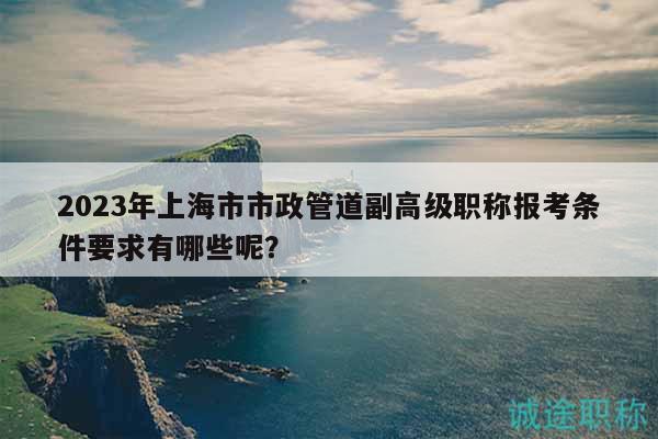 2023年上海市市政管道副高級(jí)職稱報(bào)考條件要求有哪些呢？