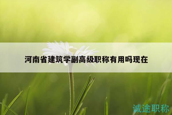 河南省建筑學(xué)副高級(jí)職稱(chēng)有用嗎現(xiàn)在