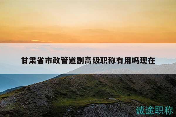 甘肅省市政管道副高級職稱有用嗎現(xiàn)在
