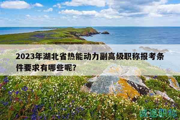 2023年湖北省熱能動力副高級職稱報考條件要求有哪些呢？