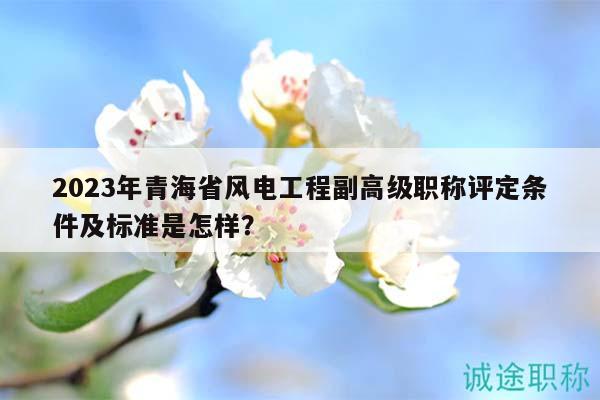 2023年青海省風(fēng)電工程副高級職稱評定條件及標(biāo)準(zhǔn)是怎樣？