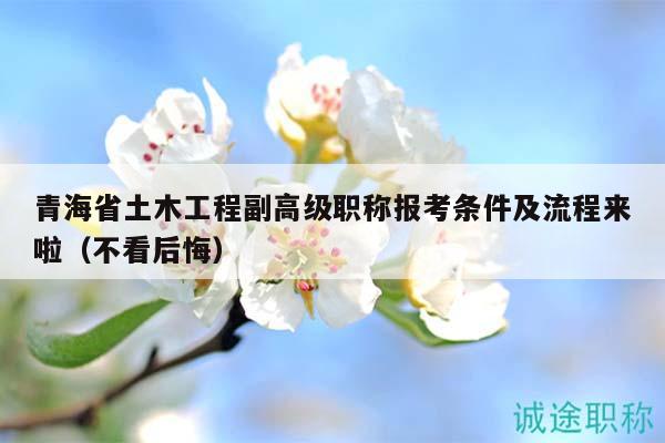 青海省土木工程副高級職稱報考條件及流程來啦（不看后悔）