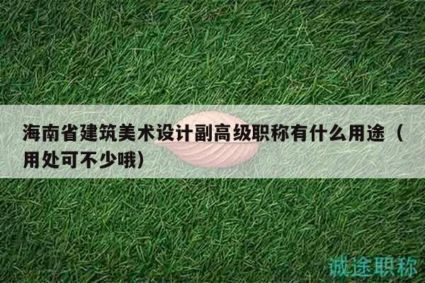 海南省建筑美術(shù)設(shè)計副高級職稱有什么用途（用處可不少哦）