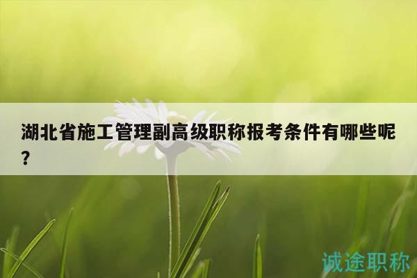 湖北省施工管理副高級職稱報考條件有哪些呢？