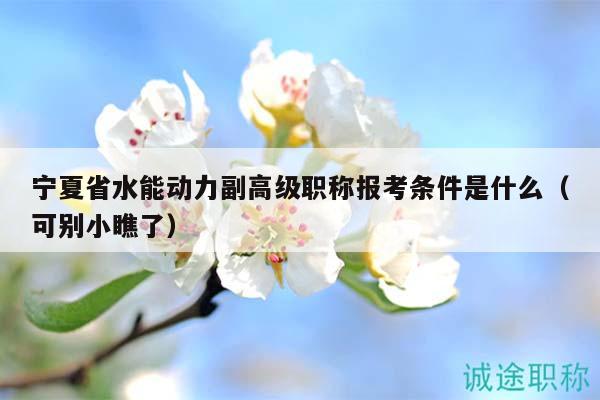 寧夏省水能動力副高級職稱報(bào)考條件是什么（可別小瞧了）