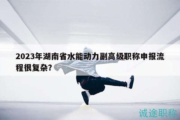 2023年湖南省水能動力副高級職稱申報流程很復雜？