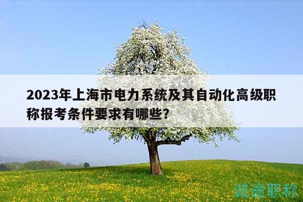 2023年上海市電力系統(tǒng)及其自動化高級職稱報考條件要求有哪些？