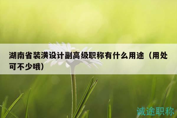 湖南省裝潢設(shè)計(jì)副高級(jí)職稱有什么用途（用處可不少哦）