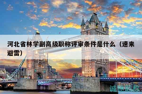 河北省林學(xué)副高級職稱評審條件是什么（速來避雷）