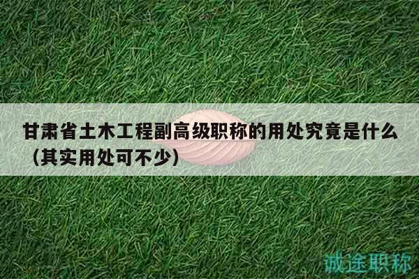 甘肅省土木工程副高級職稱的用處究竟是什么（其實用處可不少）