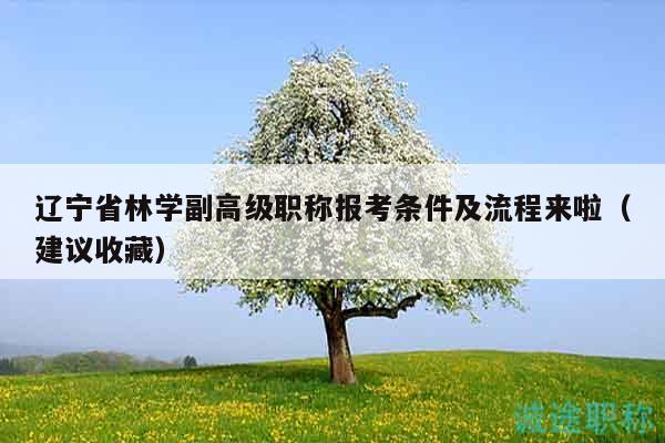 遼寧省林學(xué)副高級(jí)職稱(chēng)報(bào)考條件及流程來(lái)啦（建議收藏）