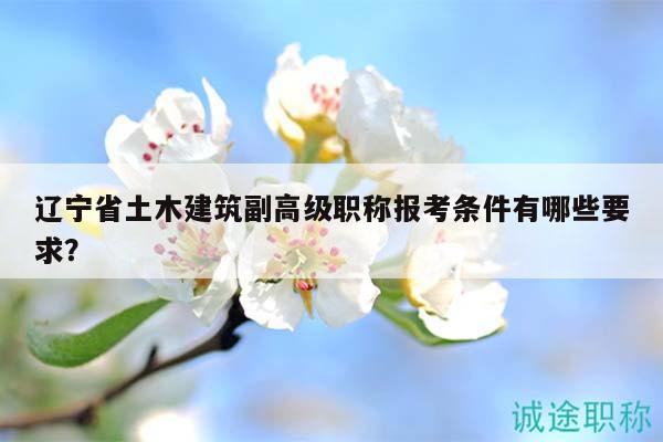 遼寧省土木建筑副高級職稱報考條件有哪些要求？