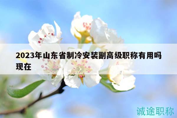 2023年山東省制冷安裝副高級(jí)職稱(chēng)有用嗎現(xiàn)在