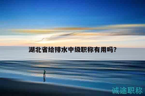 湖北省給排水中級職稱有用嗎？