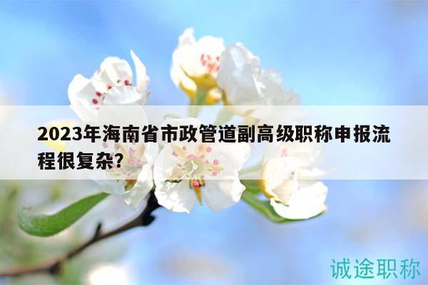 2023年海南省市政管道副高級(jí)職稱申報(bào)流程很復(fù)雜？