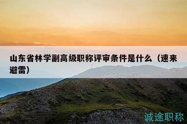 山東省林學(xué)副高級職稱評審條件是什么（速來避雷）