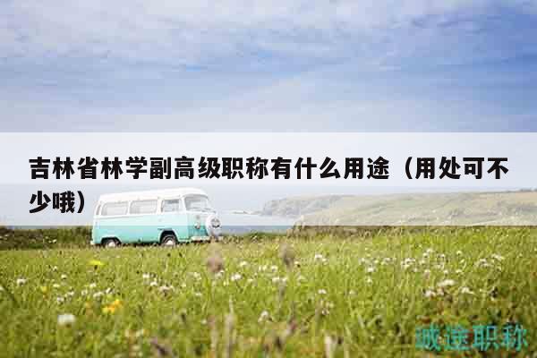 吉林省林學副高級職稱有什么用途（用處可不少哦）