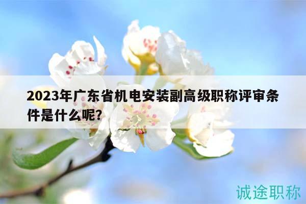 2023年廣東省機(jī)電安裝副高級(jí)職稱(chēng)評(píng)審條件是什么呢？