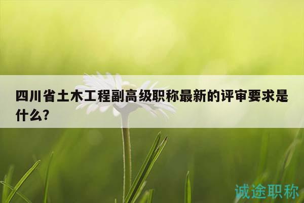四川省土木工程副高級職稱最新的評審要求是什么？