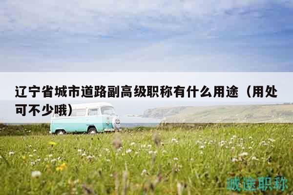 遼寧省城市道路副高級職稱有什么用途（用處可不少哦）