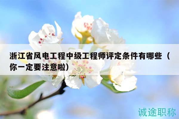 浙江省風(fēng)電工程中級(jí)工程師評(píng)定條件有哪些（你一定要注意啦）