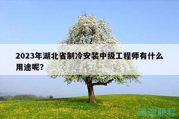 2023年湖北省制冷安裝中級(jí)工程師有什么用途呢？