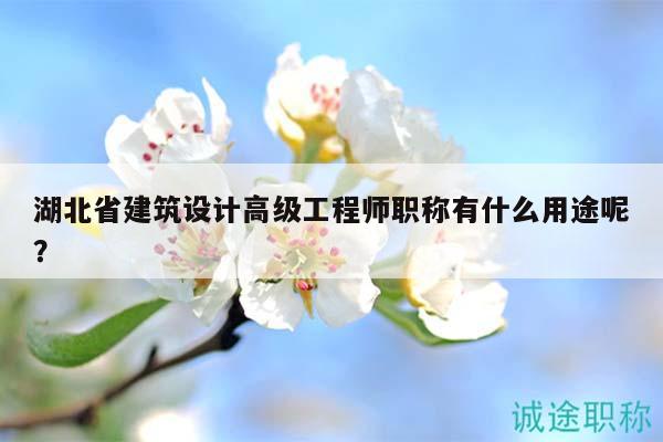 湖北省建筑設(shè)計(jì)高級(jí)工程師職稱有什么用途呢？