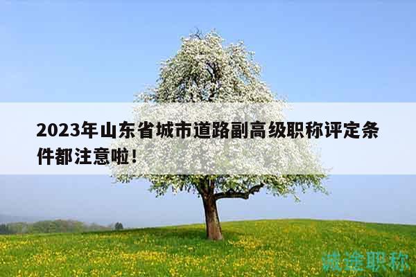 2023年山東省城市道路副高級職稱評定條件都注意啦！