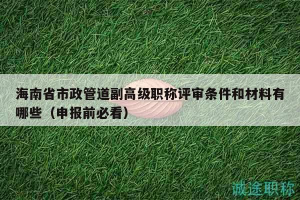 海南省市政管道副高級職稱評審條件和材料有哪些（申報前必看）