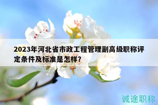 2023年河北省市政工程管理副高級職稱評定條件及標(biāo)準(zhǔn)是怎樣？