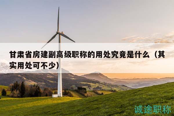甘肅省房建副高級職稱的用處究竟是什么（其實(shí)用處可不少）